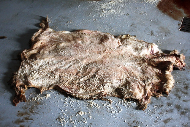 Откуп на кожи Луна комерц покрива 90% од откупот на кожи од кланиците и откуп на волна од фармерите на македонскиот пазар.