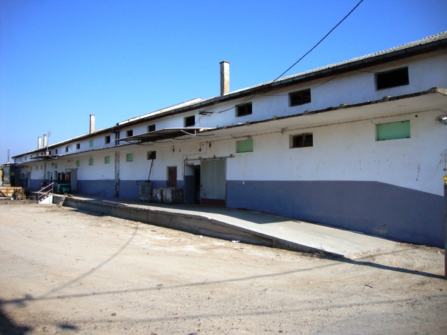 Конзервирање на кожаНајвисок приоритет на  вработените во Луна Комерц  е навременото конзервирање на кожите. Конзервирањето се врши со морска сол и додаток на 2% борикацид. во солта